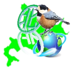 shop-thumbnail