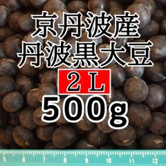 丹波黒大豆 2L 500g 新豆 令和6年産 京丹波町産