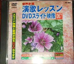 DVD『演歌レッスン DVDスライド映像＋おまけ 大量まとめ売り 計