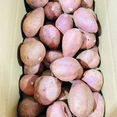 さつまいも 安納芋 訳あり約4.5kg 箱込み（内容量4kg＋補償分500g) 優品  訳あり 【002】 熊本県産 鹿児島県産 サツマイモ  焼き芋 芋 いも 通販 家庭用 あんのういも