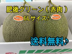 肥後グリーン　メロン（赤肉）6Lサイズ×2個セット