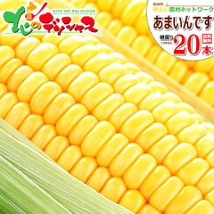 【予約/8月中旬(8月15日)頃～出荷予定】北海道 南幌町産 あまいんです 20本入り とうもろこし 朝採り 甘い トウモロコシ スイートコーン とうきび 野菜 ギフト 贈り物 お祝い 内祝い プレゼント ご家庭用 北海道 グルメ お取り寄せ