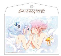 ご注文はうさぎですか？？ ココア＆チノ A5ソフトケース