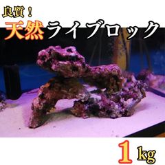 【即日発送】良質 天然 ライブロック 1kg (量り売り) サンゴ ※地域限定販売