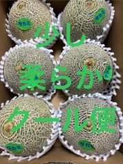 タカミメロン  Lサイズ 6個入 箱込6キロ程度 茨城県産