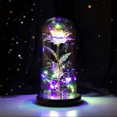 照明 薔薇 ガラスドーム LED 3D オブジェ インテリア レインボー