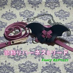 フトアゴヒゲトカゲ用羽飾りハーネス&リード デビル