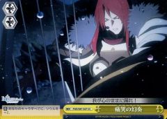 [중고]바이스슈바르츠 FGO/S87-027[CC]:통합의 환주