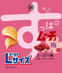 湖池屋 Largeサイズ すっぱムーチョチップス さっぱり梅 118g✕12袋のサムネイル