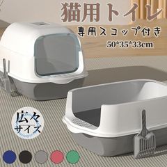 Item thumbnail for item 25e4c336-f83f-4430-87a5-cc629c1b19c0