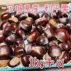 ホリー様　4L 2キロ　利平栗　茨城県産 茨城県産【利平栗】焼き栗！ | 栗処 絹糸モンブラン くりと