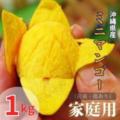 【予約商品】沖縄県産　ミニマンゴー　家庭用　1キロ　（6月末頃発送）