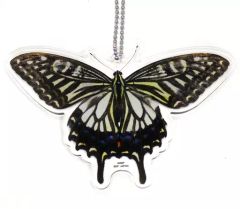 [중고] 잡화 아게하조 아크릴 키홀더 [이치반 복권 곤충 LIFE with INSECT] G상