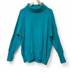 グリーンレーベルリラクシング　長袖　青　トップス　ニット・セーター
