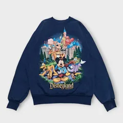 60's70's ビンテージ Disney スウェット　シンデレラ城 Special 60s70sビンテージUSA製Disneyスウェット ディズニー 60