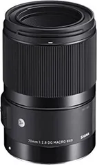 2025年最新】sigma 70mm f2.8 dg macroの人気アイテム - メルカリ