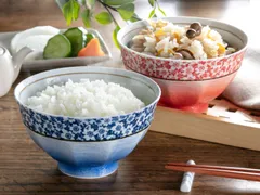 【新品未使用】【波佐見焼】　吹き小花軽量飯碗　【2色組】