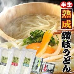 20時間熟成 半生 讃岐うどん 3種麺 つゆ付きセット 便利な個包装 750g 送料無料　M36