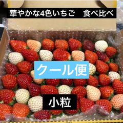 いちご　苺　４色　食べ比べ　小粒  クール便