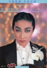 大地真央 主演舞台パンフレット 「野田秀樹の十二夜」 - メルカリ