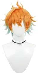 TTYAO REII ウィッグ かつら コスプレウィッグ 髪 コスプレ用小物 コスチューム小物 変装用 cosplay ハロウィン クリスマス 仮装 イベント 文化祭 祭り 耐熱 wig ネット付き (宇佐美リト)