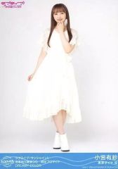 Item thumbnail for item b2006ebe-cd5d-4c70-a463-255f4590d8c2