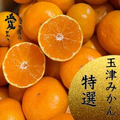 愛媛産　味濃い玉津みかん　特選ランク3kg     贈答品