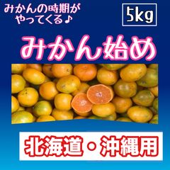 みかん始め　5kg  北海道・沖縄用