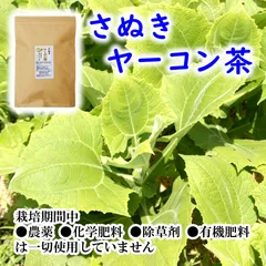 国産 ヤーコン茶 2g×10包 香川県産 栽培期間中農薬不使用 ノンカフェイン やーこん イヌリン 煮出しのサムネイル