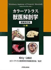 2023年最新】カラーアトラス獣医解剖学の人気アイテム - メルカリ