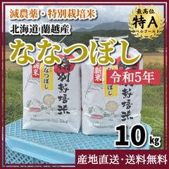 【令和5年新米・減農薬・特別栽培米】ななつぼし 10kg 北海道 蘭越産