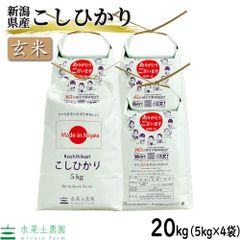 お米 米 玄米 こしひかり 20kg（5kg×4袋） 新潟県産 令和5年産 古代米お試し袋付き