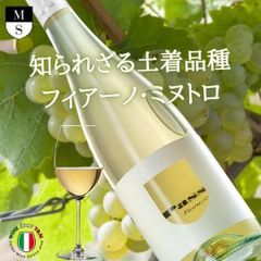 イタリアワイン メンヒル パス オー 土着品種 フィアーノ ミヌトロ イタリア プーリア 白ワイン 辛口 レストラン向け