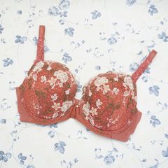 ≪メール便発送≫Wacoal LASEE ワコール　ラゼ　E75　ブラジャー　花柄　刺繍　レッド