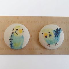 セキセイインコ　TORINOS 　くるみボタン
