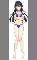 ドルフィンウェーブ 抱き枕カバー 風見エレン 相馬楓 永雪氷織 シュネー ドルフィンウェーブ 抱き枕カバー／相馬颯: キャラグッズ
