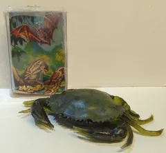 2025年最新】ノコギリガザミの人気アイテム - メルカリ
