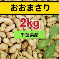 1kg 1キロ 無選別【農家直送】新物 生落花生 おおまさり 千葉県産 - し