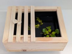 メダカ用ビオトープ木枠＆nvボックス22(黒)オーバーフロー仕様 - メルカリ