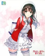 [중고] 원화 일러스트 보드 액시아 캔버스 아트 시리즈 No.052-F30th 그리워하지 않는 그녀의 기르는 방법 [카토 메구미] 원작판 Part.4(판타지아 문고 30주년 기념)