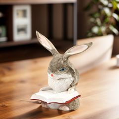 置物 オブジェ ガーデンオーナメント 本を読んでいるウサギ うさぎ ラビット 屋外 屋内 インテリア 玄関 リビング ダイニング 装飾 庭