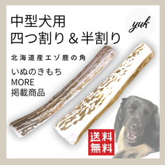 【クーポン発行中】中型犬用　四つ割り&半割りセット 犬のおもちゃ　鹿の角　鹿の骨　D