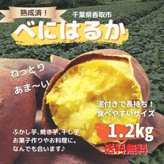 さつま芋(紅はるか)【1.2kg/送料無料】ねっとり甘い千葉県産
