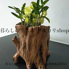 2025年最新】切り株 プランターの人気アイテム - メルカリ