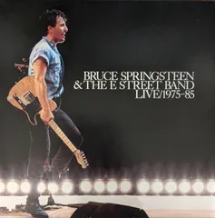 2024年最新】lp bruce springsteen darkness on the edge of