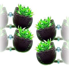 D・STONE アクアリウム 水槽 オーナメント インテリア かくれ家 ガラス 植物 無 ポット (4個)