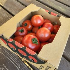 当農園おすすめの大玉トマト セレブ訳あり800g