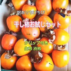 柿出品 kaki – ネットスーパーV