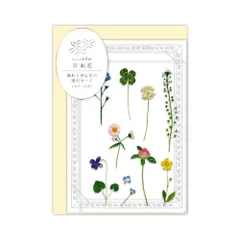 リュリュ 多目的カード 押し花の透明カード ノノハナ SMTC-02 スタンド付