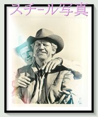 48時間　USオリジナル映画ポスター Another 48 Hours (1990) Japanese movie poster